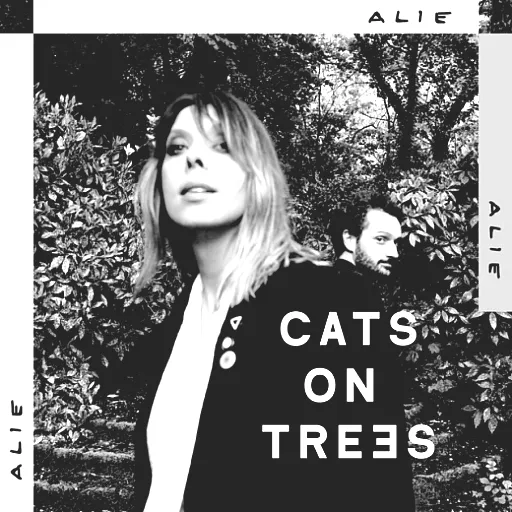 Cats on Trees