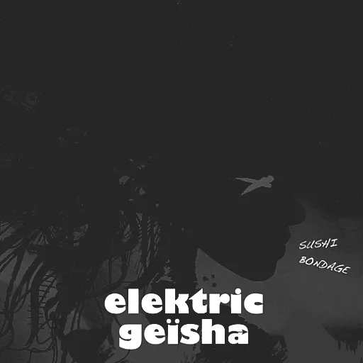 Elektric Geisha