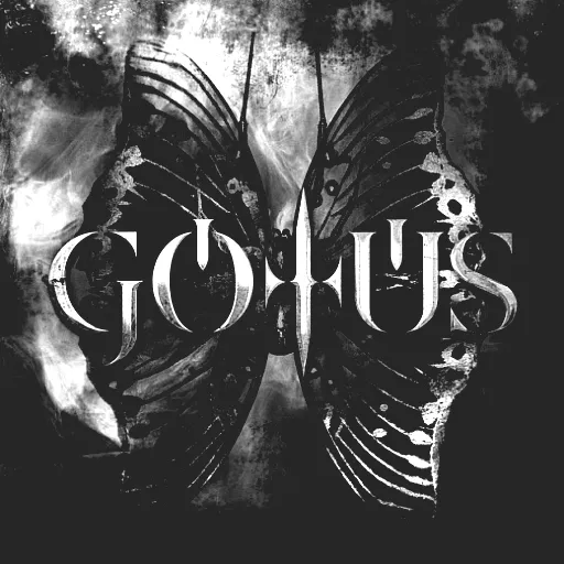 Gotus