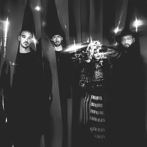 Hiatus Kaiyote