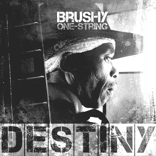 Brushy One String