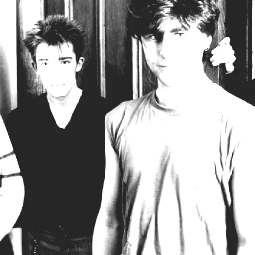 The Chameleons