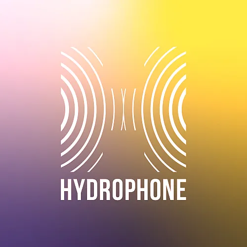 Hydrophone