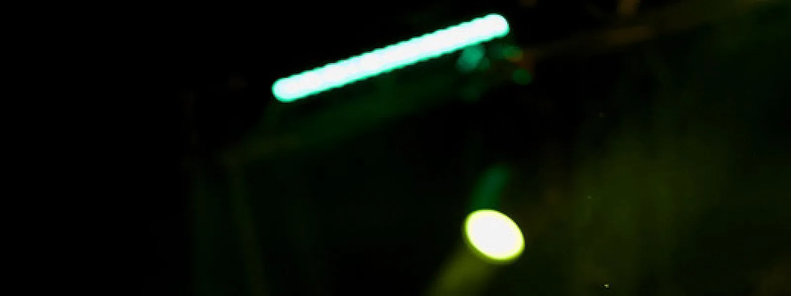 Julian Marley