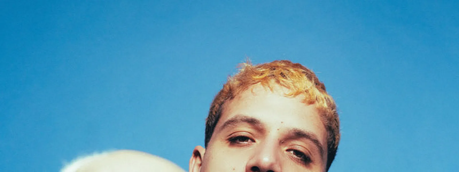 PLK