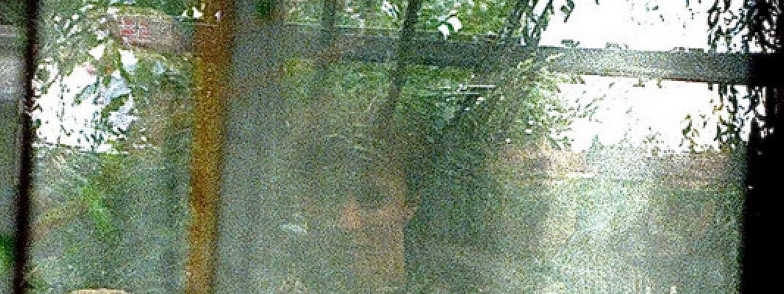 Porchlight Porchlight
