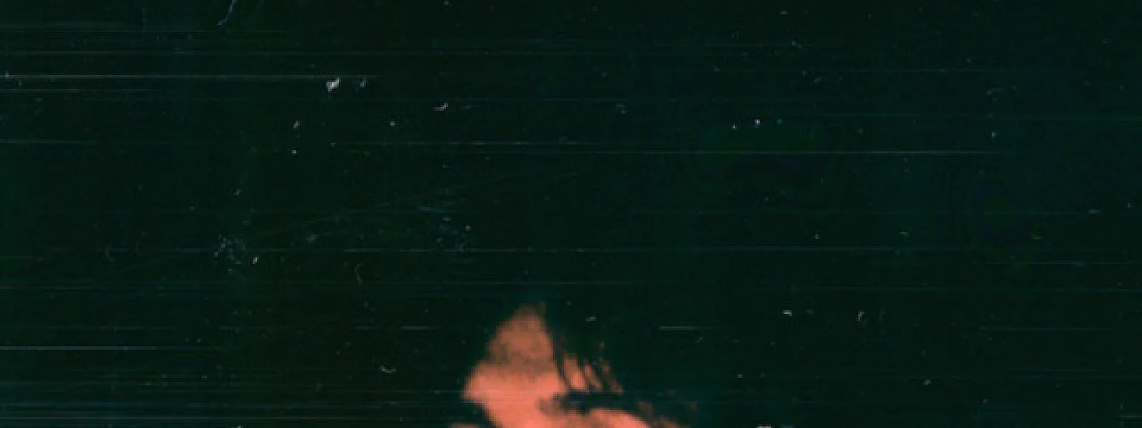 Paolo Nutini