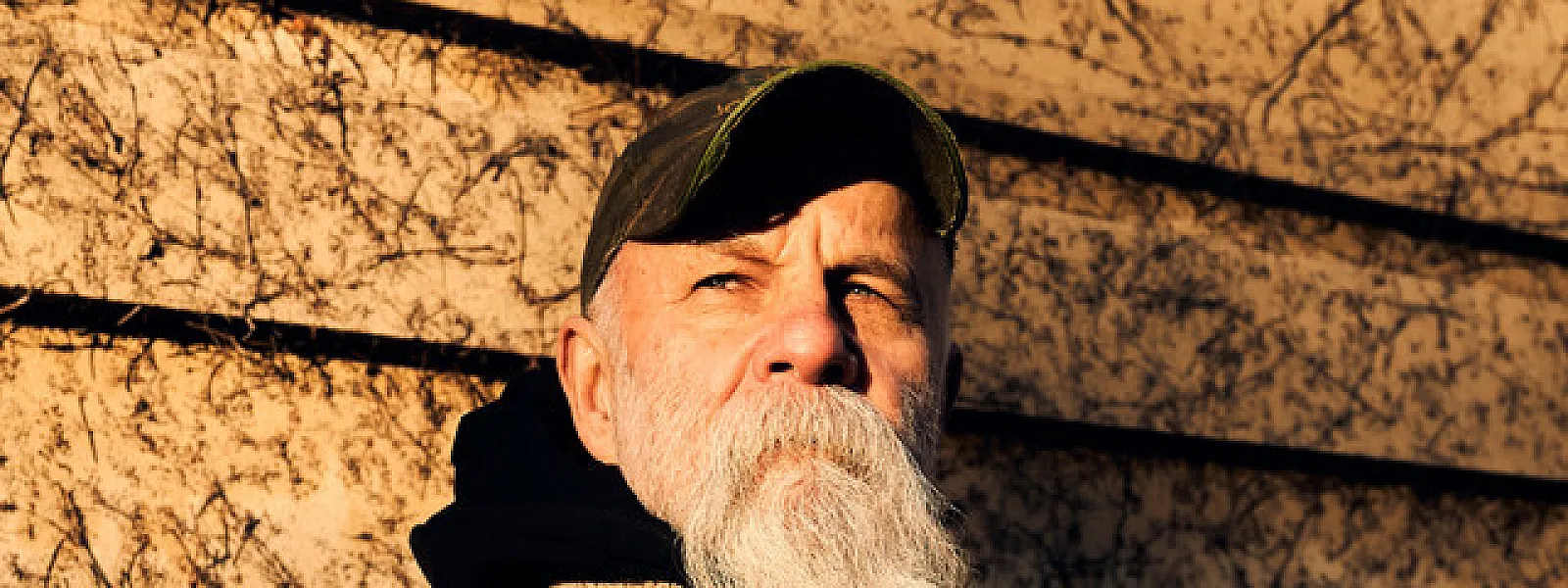 Seasick Steve