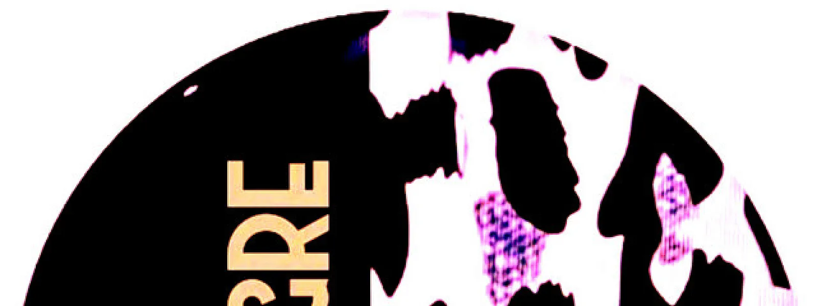 THE TIGRE