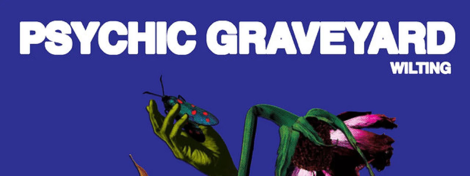 Psychic Graveyard
