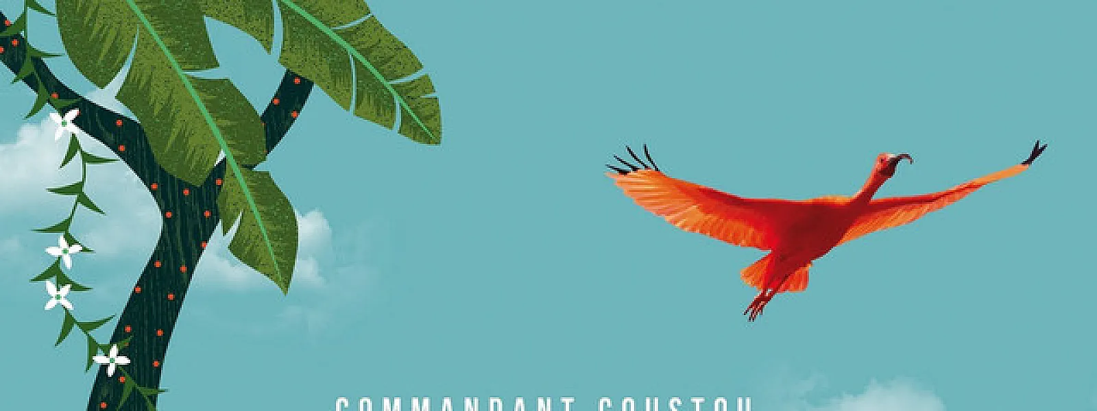 Commandant Coustou