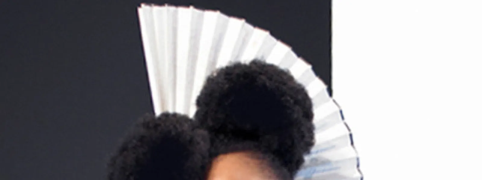 Zap Mama