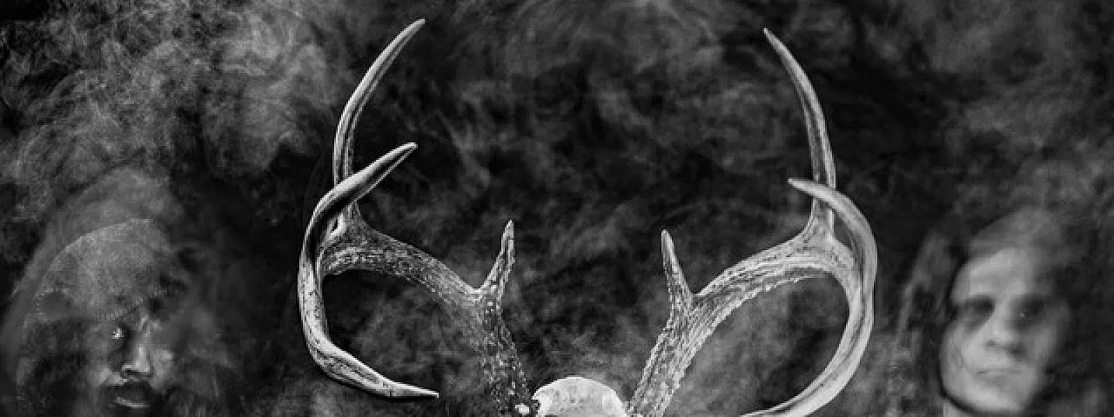 Wolves in the Throne Room