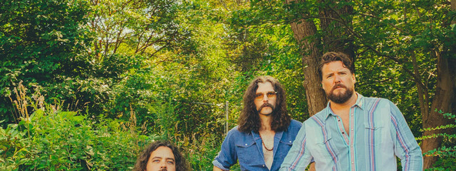The Sheepdogs