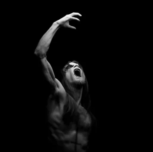 Taake