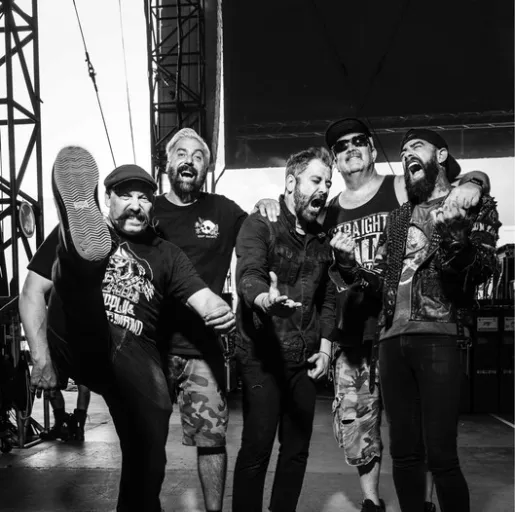 zebrahead