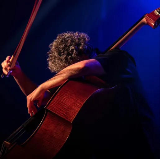 Renaud Garcia-fons