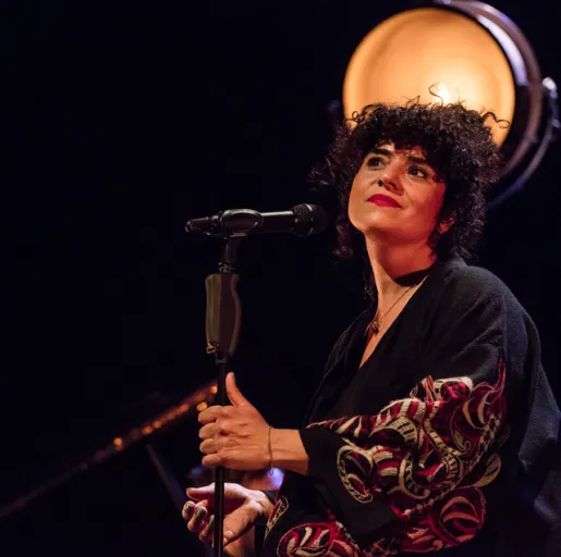 Meral Polat Trio