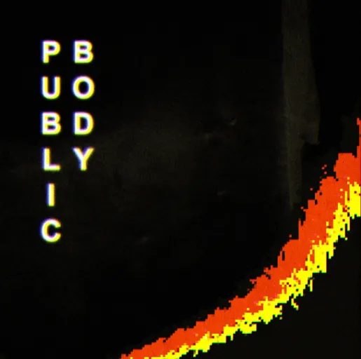 Public Body