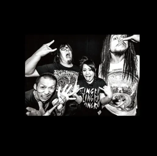 Maximum the Hormone