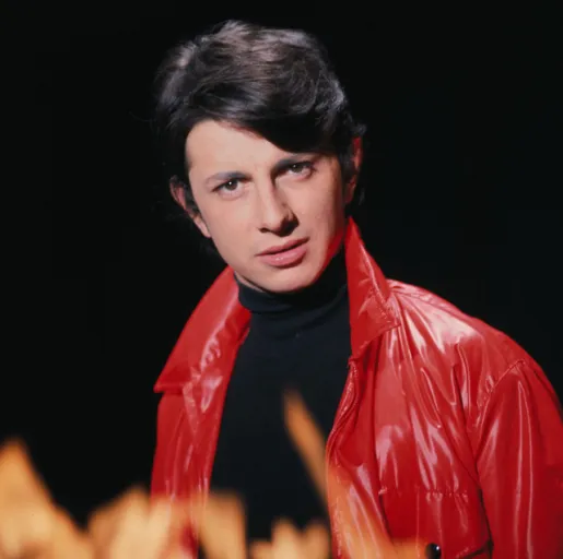 Herve Vilard