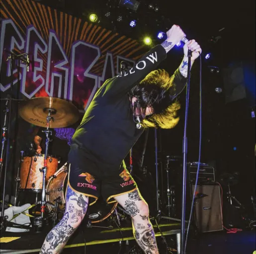 Cancer Bats