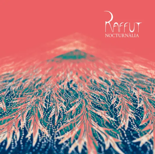 Raffut