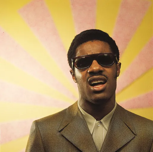 Stevie Wonder