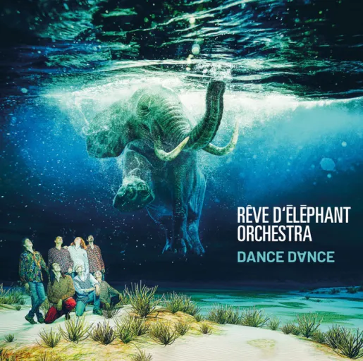 Rêve d'éléphant Orchestra