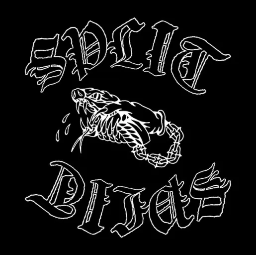 SPLIT