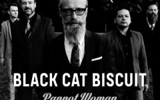 Black Cat Biscuit