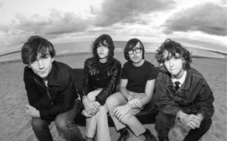 Dynamite Shakers