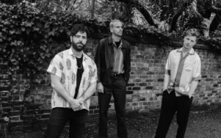 Foals
