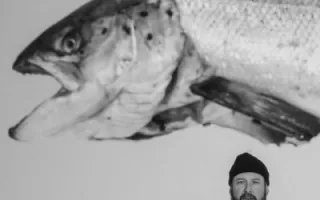 Bon Iver