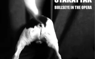 Stakattak