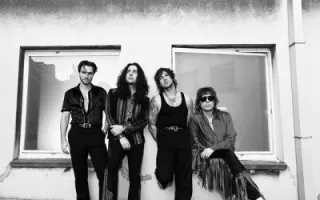 The Struts