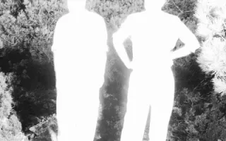 Soulwax