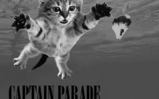 Captain Parade