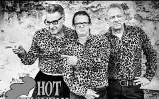 Hot Chickens
