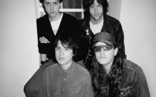 Beach Fossils