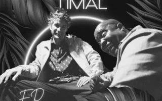 Les frères timal