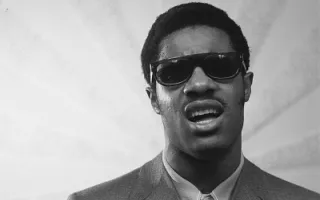 Stevie Wonder