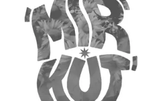 MÎRKUT