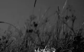 Austere