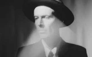 The Veils