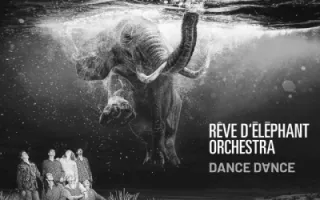 Rêve d'éléphant Orchestra