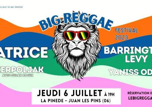 Big Reggae Festival 2023