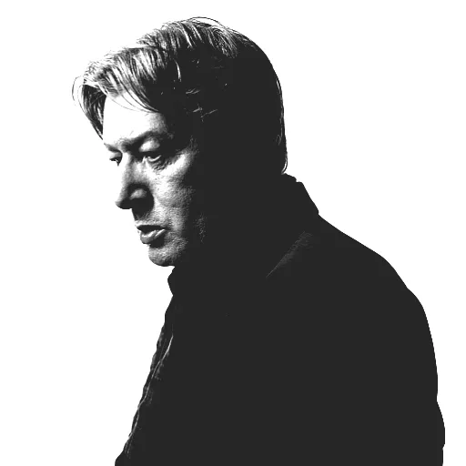 Alain Bashung