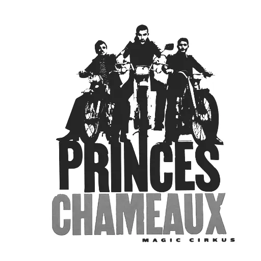 Princes Chameaux