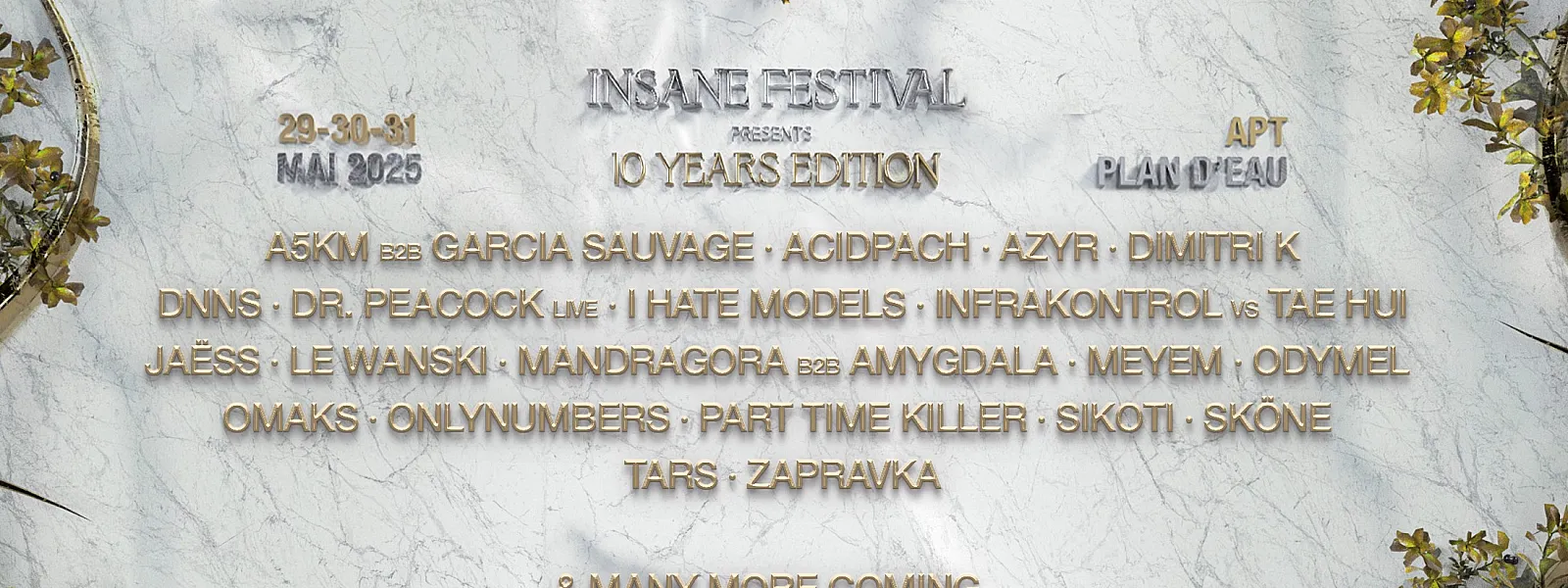 Insane Festival 2025